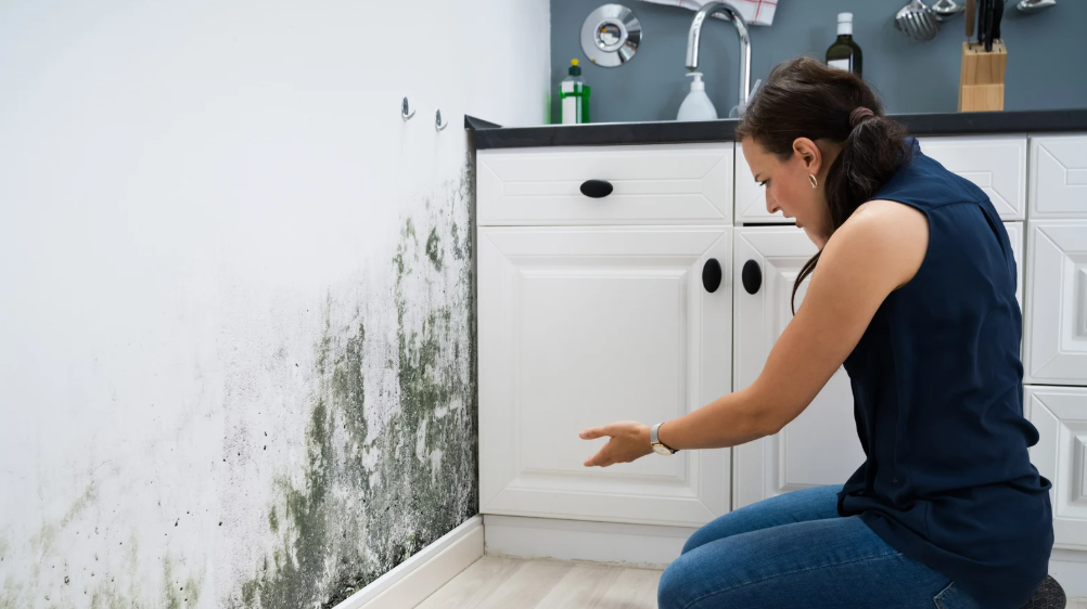 The Importance of Addressing Mold in Bathrooms and Kitchens