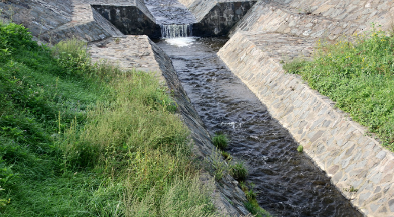 How to Integrate Rain Gardens into Yard Drainage Plans