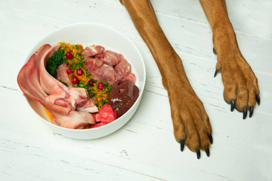 Frozen Beef Liver for Dogs: Healthy, Nutritious, and Delicious Treats 