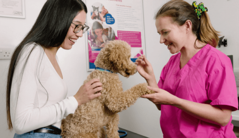 Why Petbook Veterinary Clinic Is a Trusted Name in Pet Healthcare