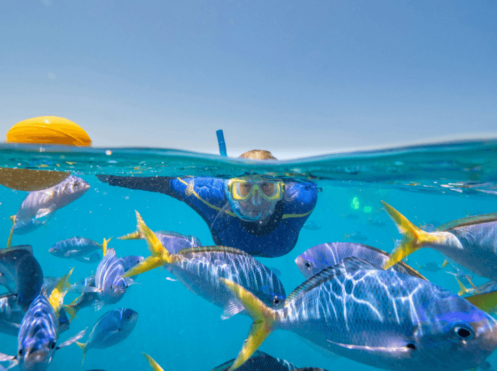 Experiencing the Great Barrier Reef the Right Way